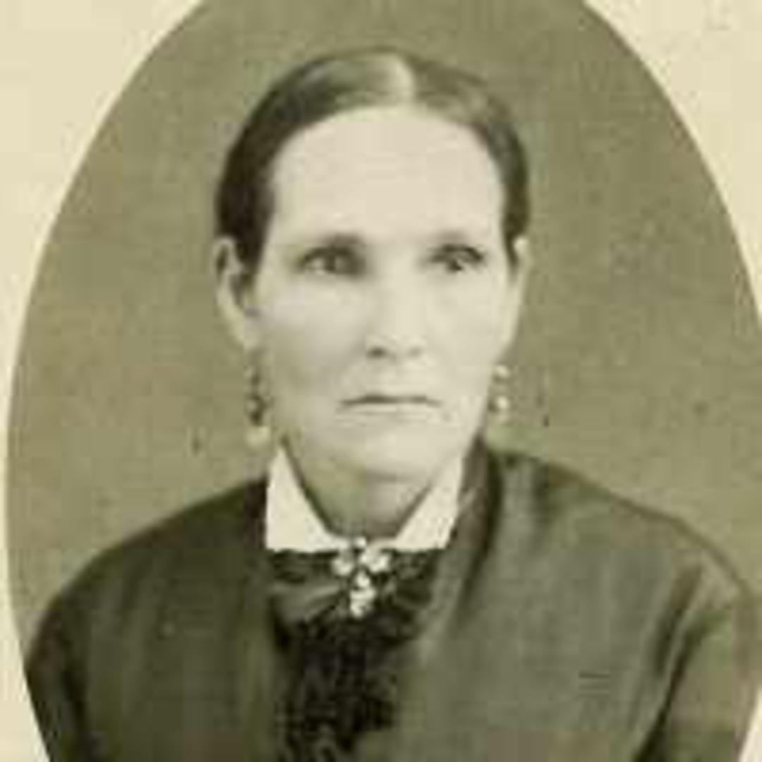 Sarah Anderson (1828 - 1909) Profile